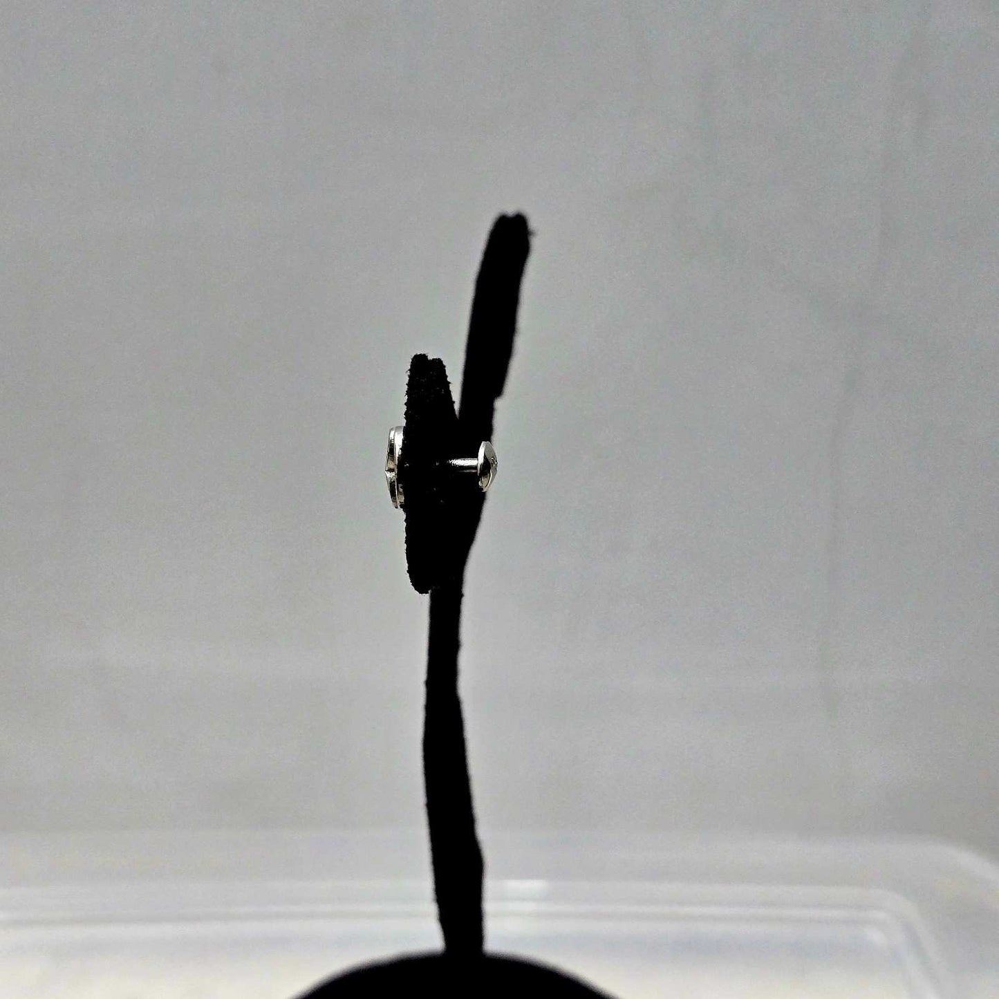 Twin Loop Studs