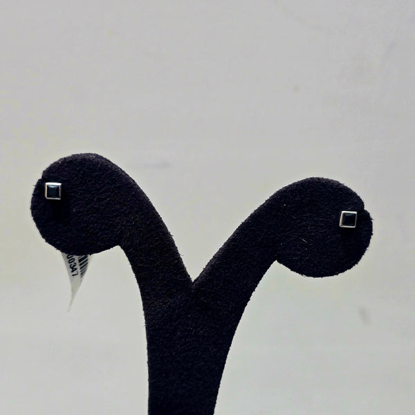 Silver Frame Studs