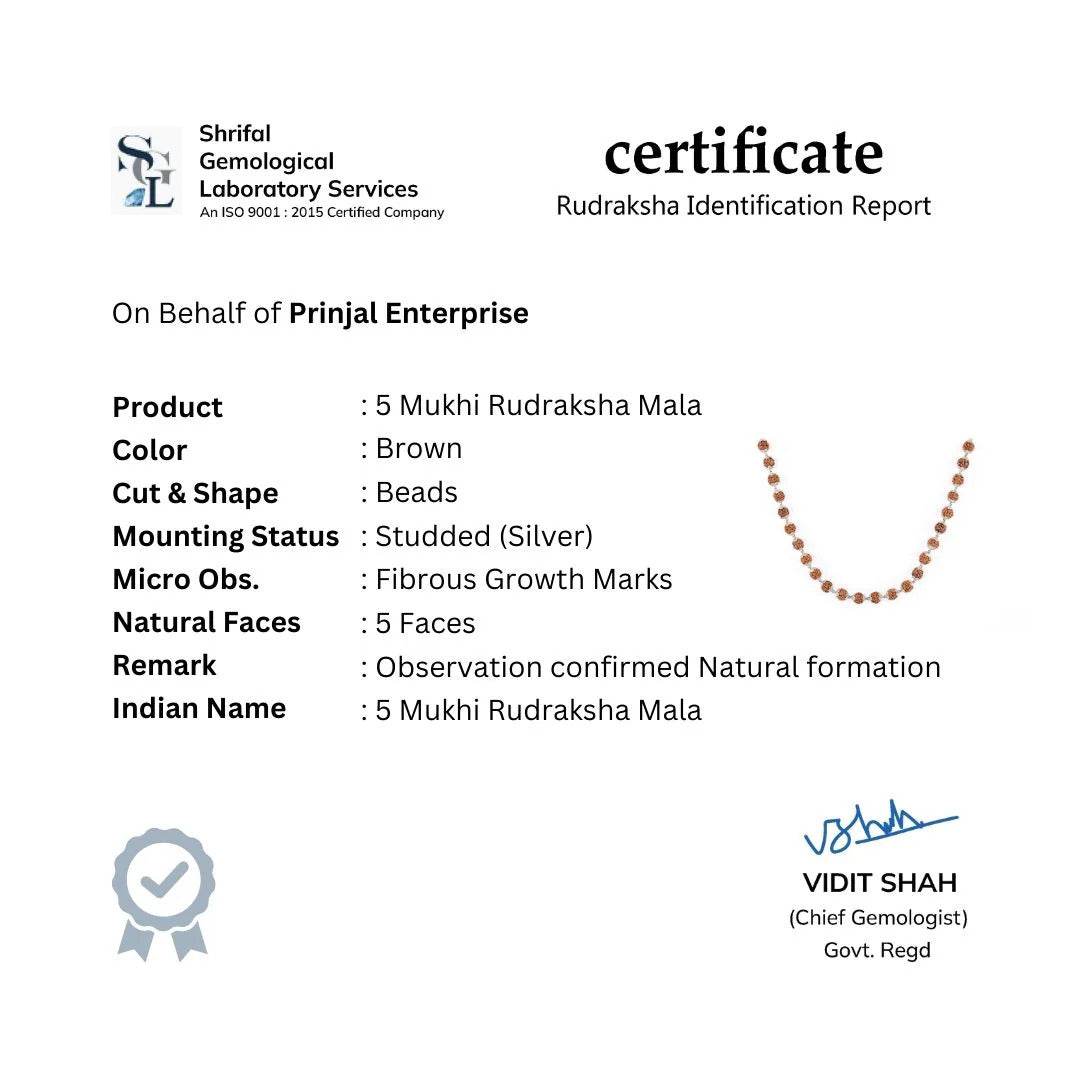 Rudraksha Silver Mala ( 8 – 9 mm Rudraksha Size) - Mayuri Silver House