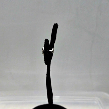 Twin Loop Studs