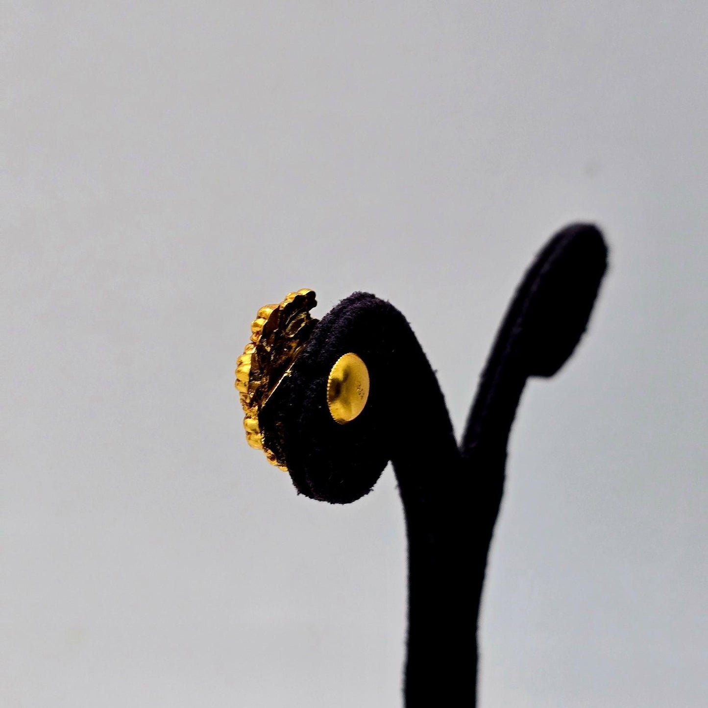 Tejasvi Studs