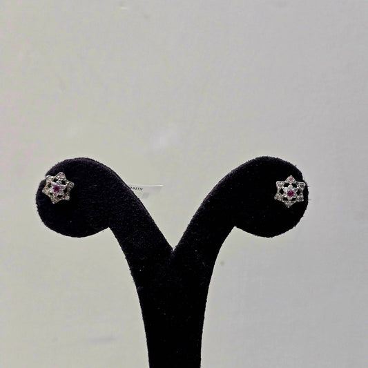 Shine Ruby Star Studs
