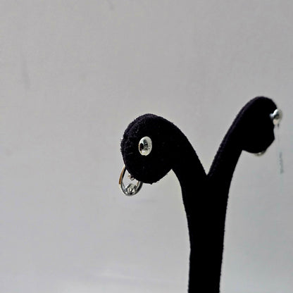 Radiant Silver Danglers
