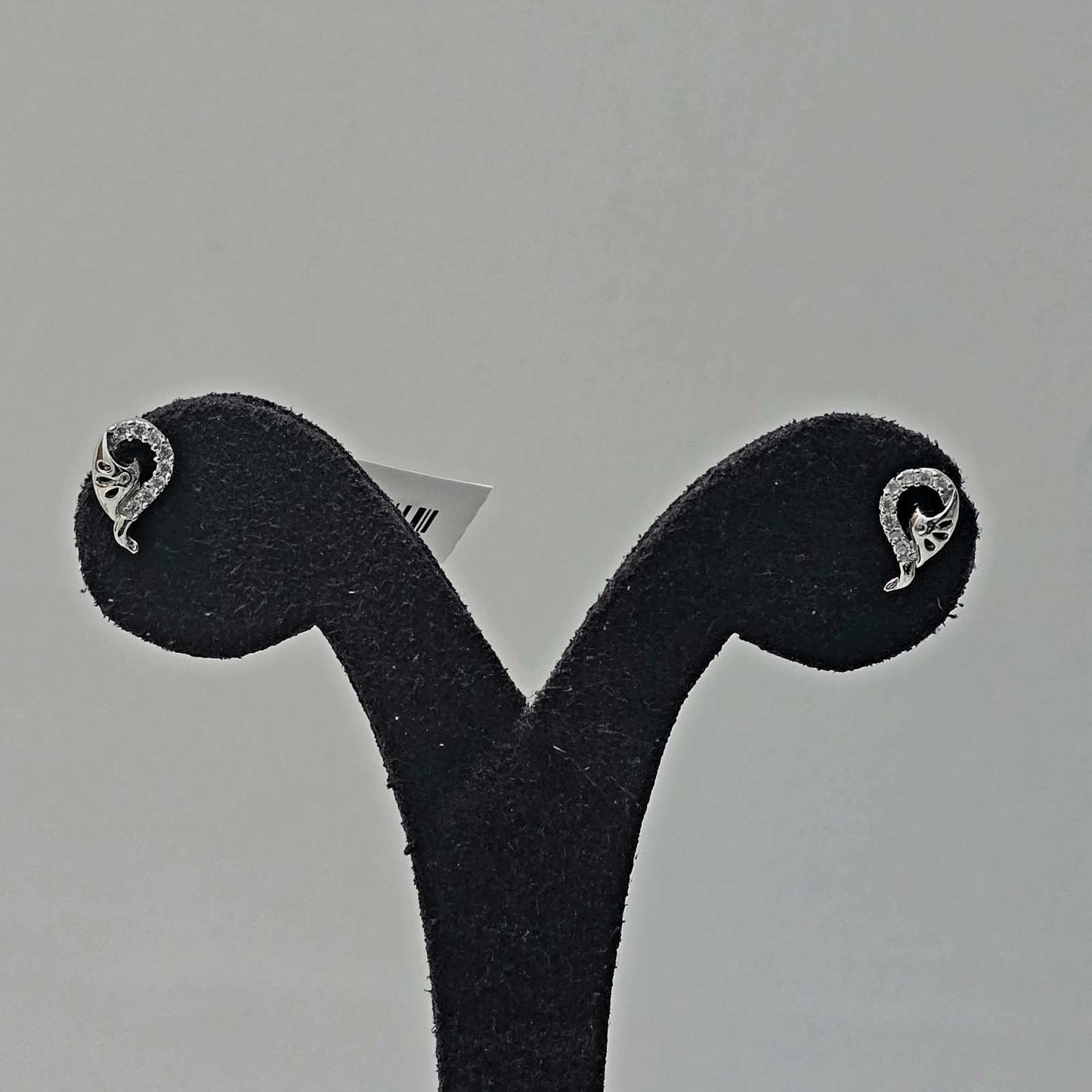 Curl Peacock  Studs
