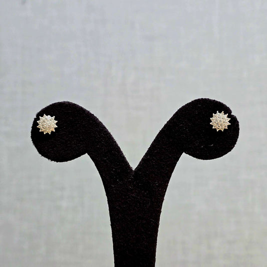 Star Glow Studs