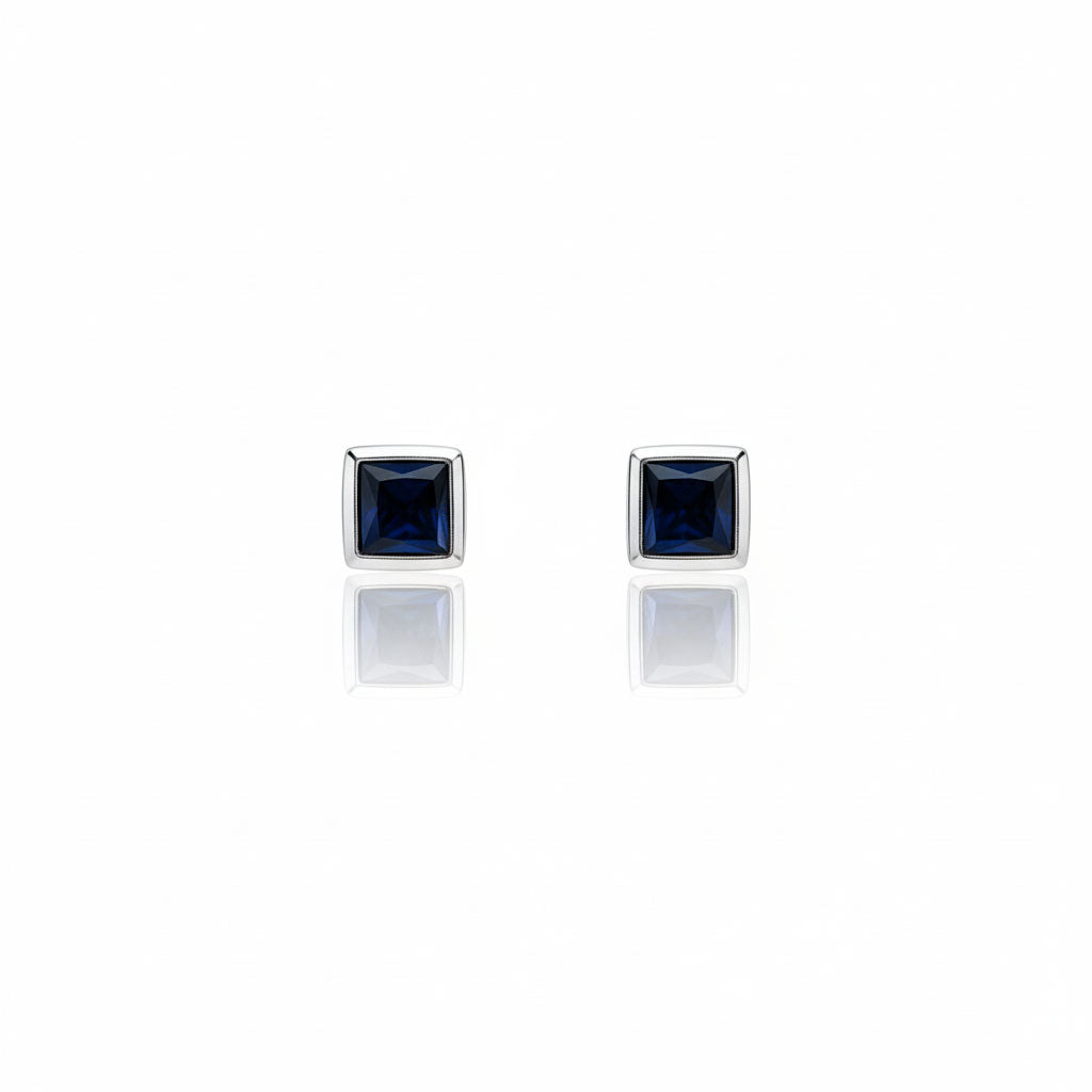 Silver Frame Studs