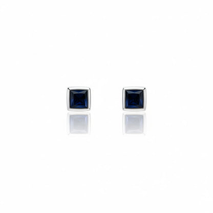 Silver Frame Studs